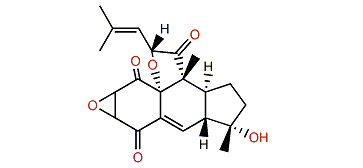 2,3-Epoxy-rossinone B